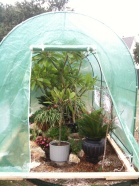 2009-11-29-02 GREENHOUSE.jpg